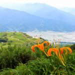 Sixty Stone Mountain tour
