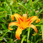 Sixty Stone Mountain tour