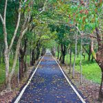 Danong Dafu Forest Park on the East Rift Valley Tour