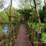 Mataian Wetlands East Rift Valley Tour hualien tour