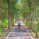 East Rift Valley, Butterfly Valley and Mugua River Gorge on our Hualien Rivers & Valleys tour