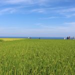 East Coast Hualien tour Shihtiping on east coast tour