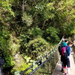 walami trail you on a hualien tour