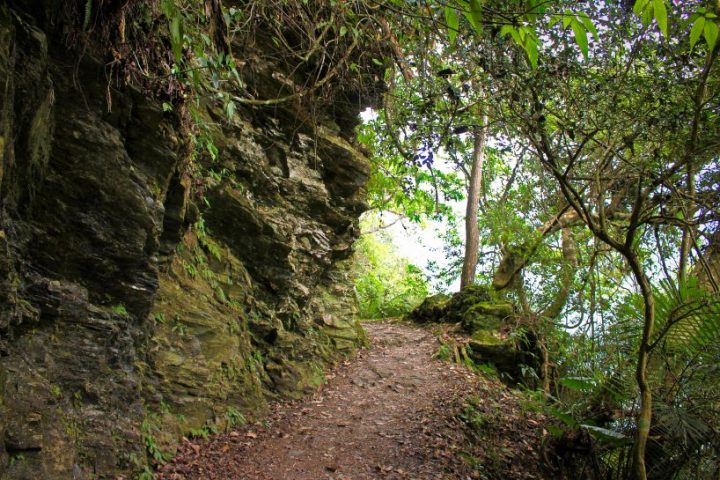 walami trail you on a hualien tour